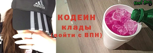 ГАЛЛЮЦИНОГЕННЫЕ ГРИБЫ Алзамай